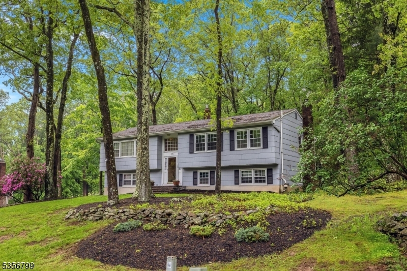 38 Nestlingwood Dr  Washington Twp. NJ 07853 photo