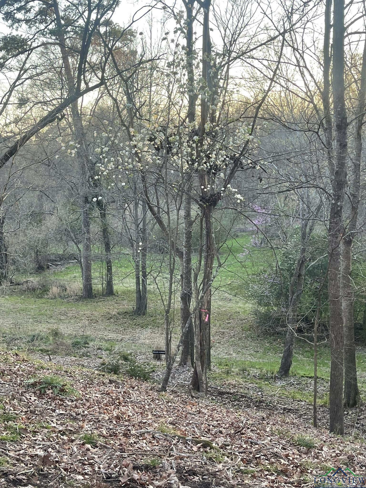 Property Photo:  9.276 Ac Mockingbird-Inverness  TX 75601 
