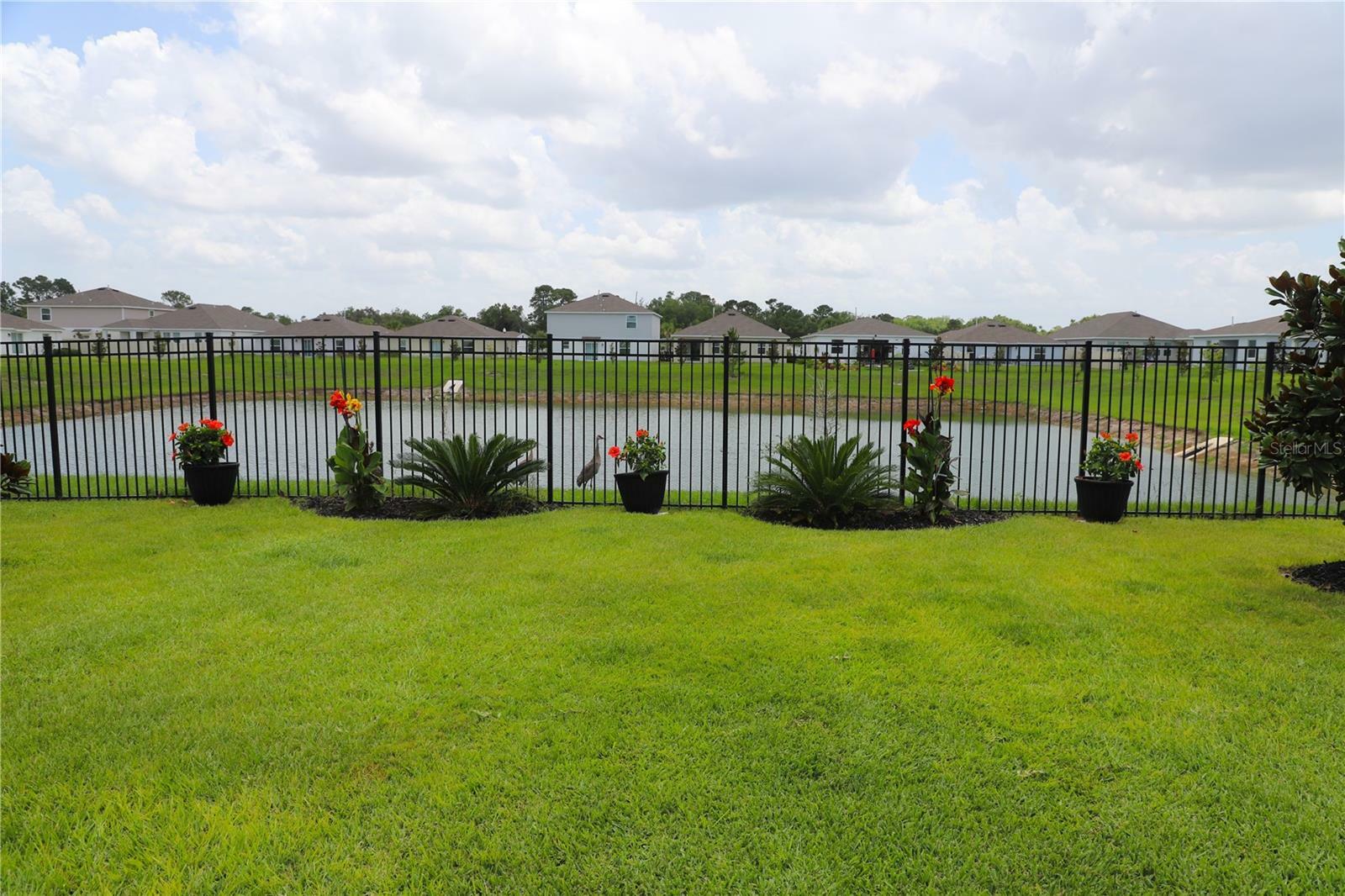 Property Photo: 33647 Sky Blossom Circle FL 34788