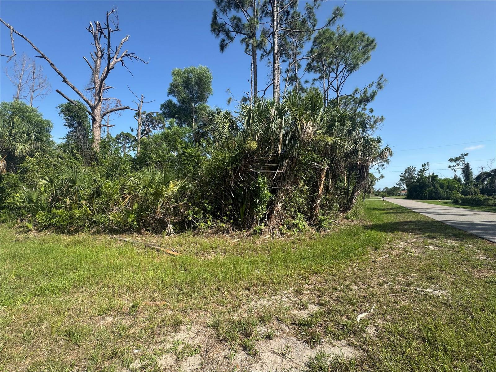 Property Photo: 12401 Perrine Avenue FL 33981