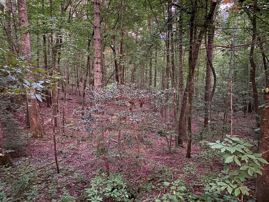 Property Photo:  Lt 46 Whitecliff Drive  GA 30540 