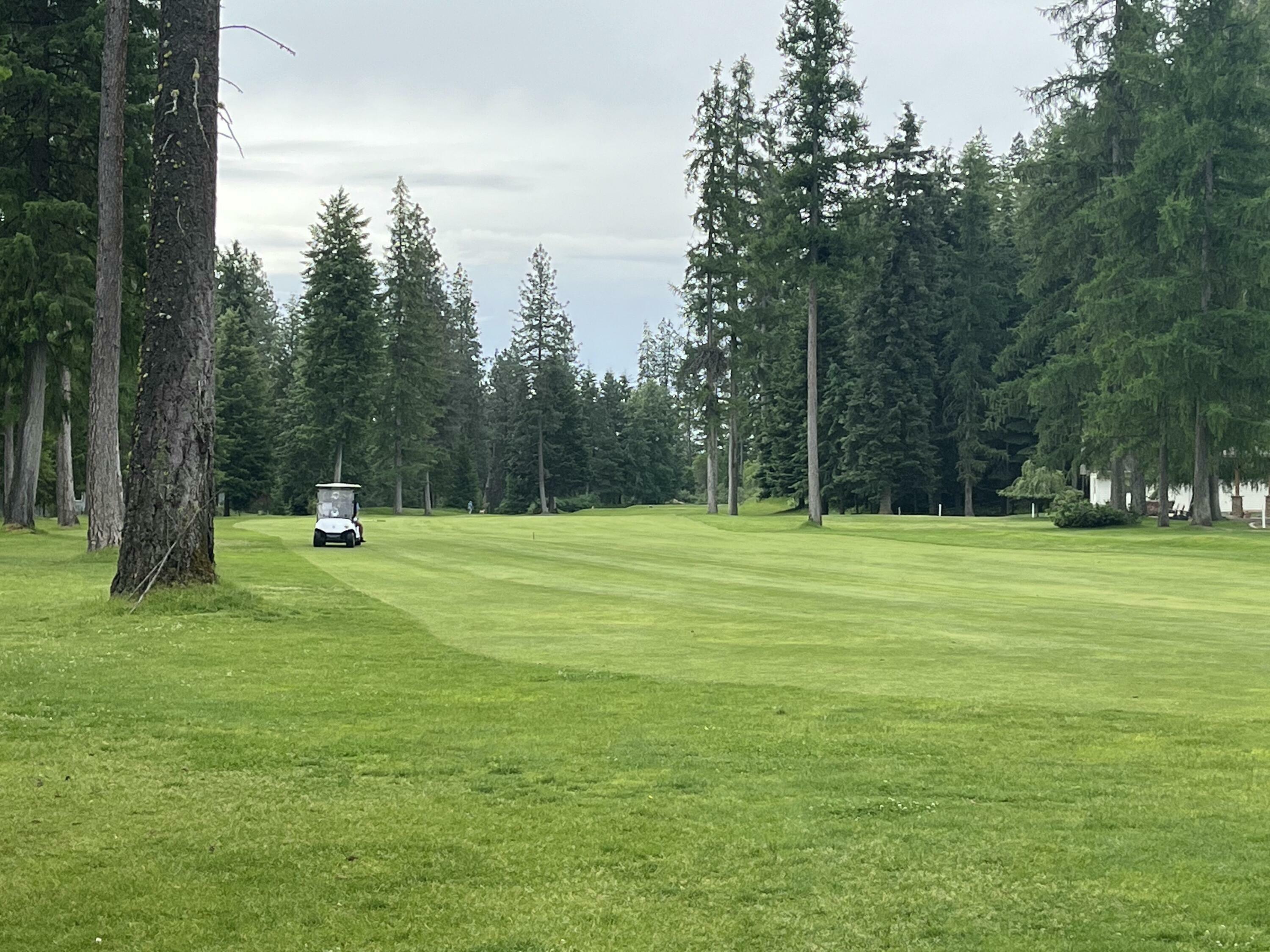 Property Photo: Lot 12 Hogans Way WA 99109