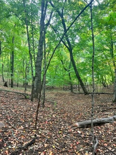 Property Photo: Xxxx E Lake Lizzie Rd MN 56572