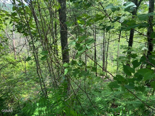 Property Photo: Lot 18 Turkey Creek Way TN 37862