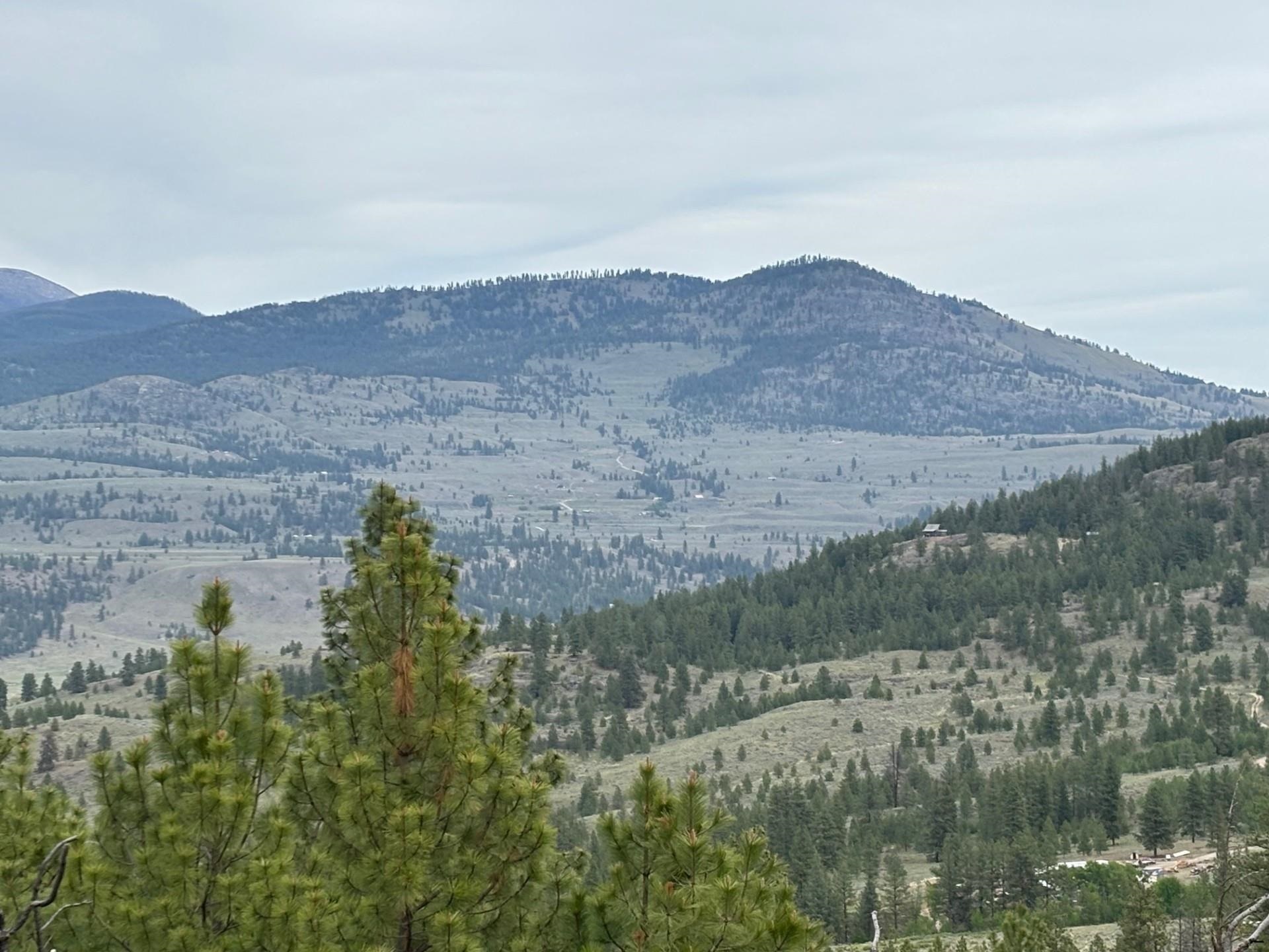 Property Photo: 8xx Upper Reevas Basin Rd Lot 3628012011 WA 98855