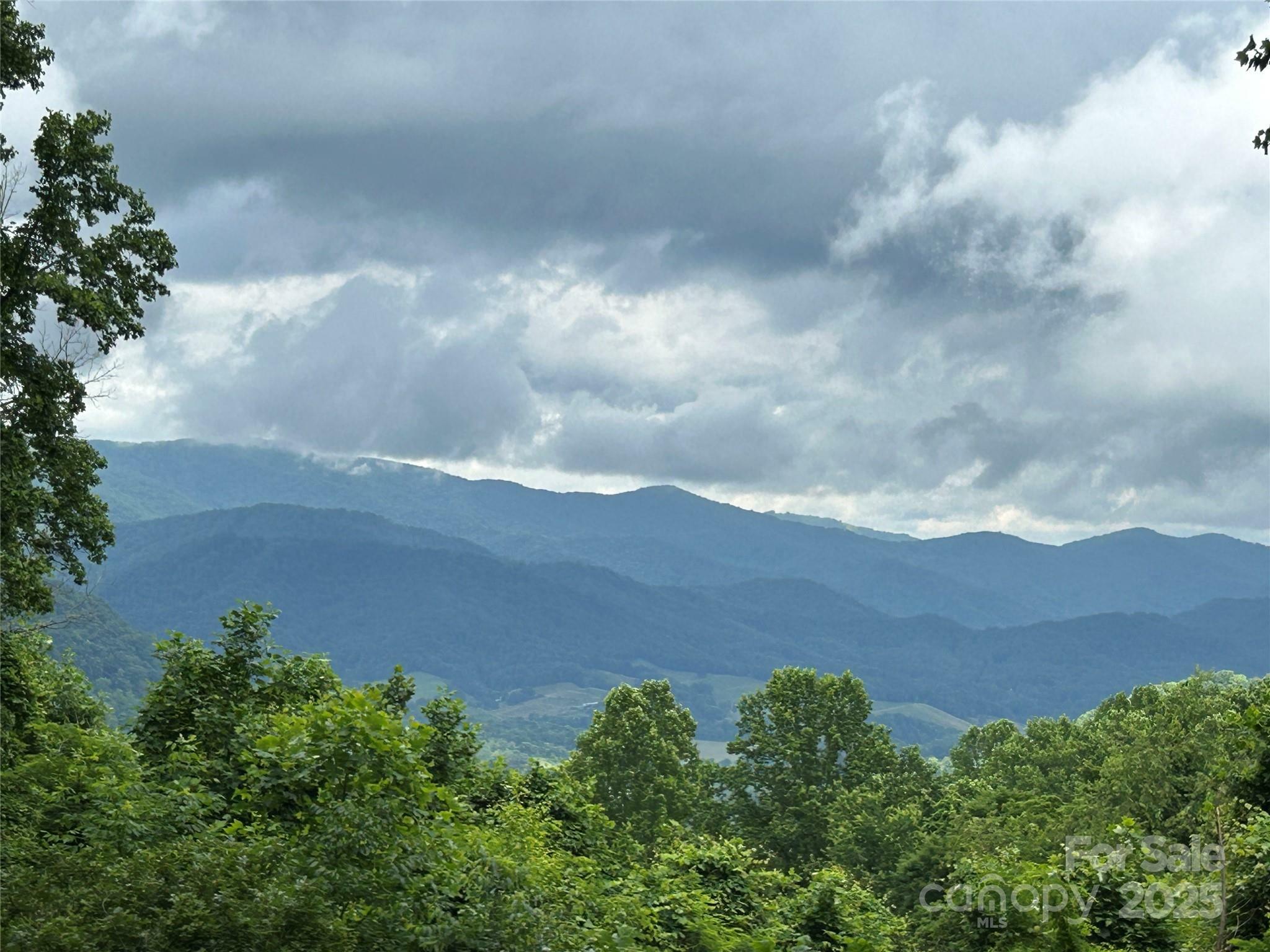 Property Photo: 687 Willow Creek Road NC 28748