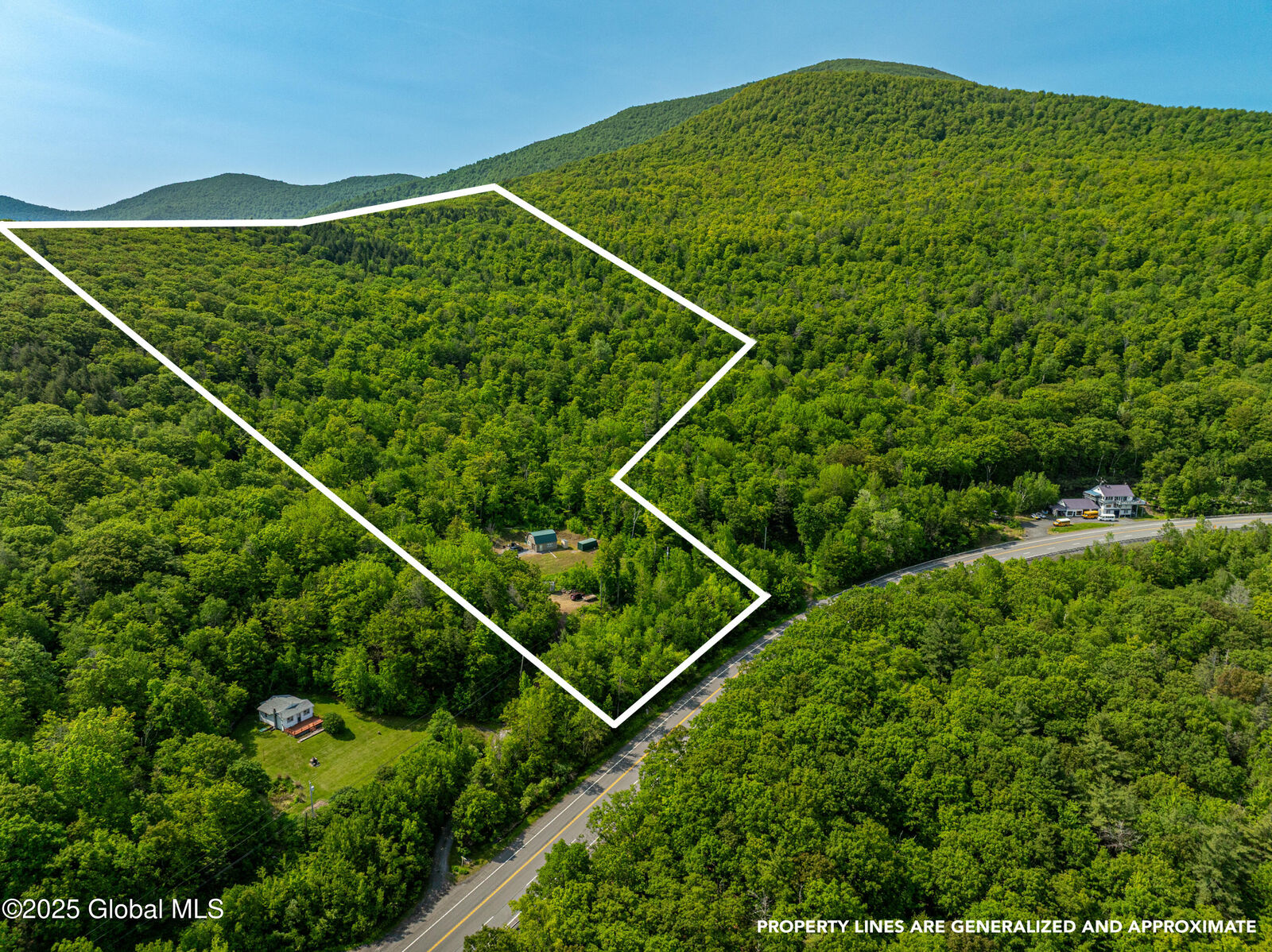 Property Photo:  7209 Route 23  NY 12423 