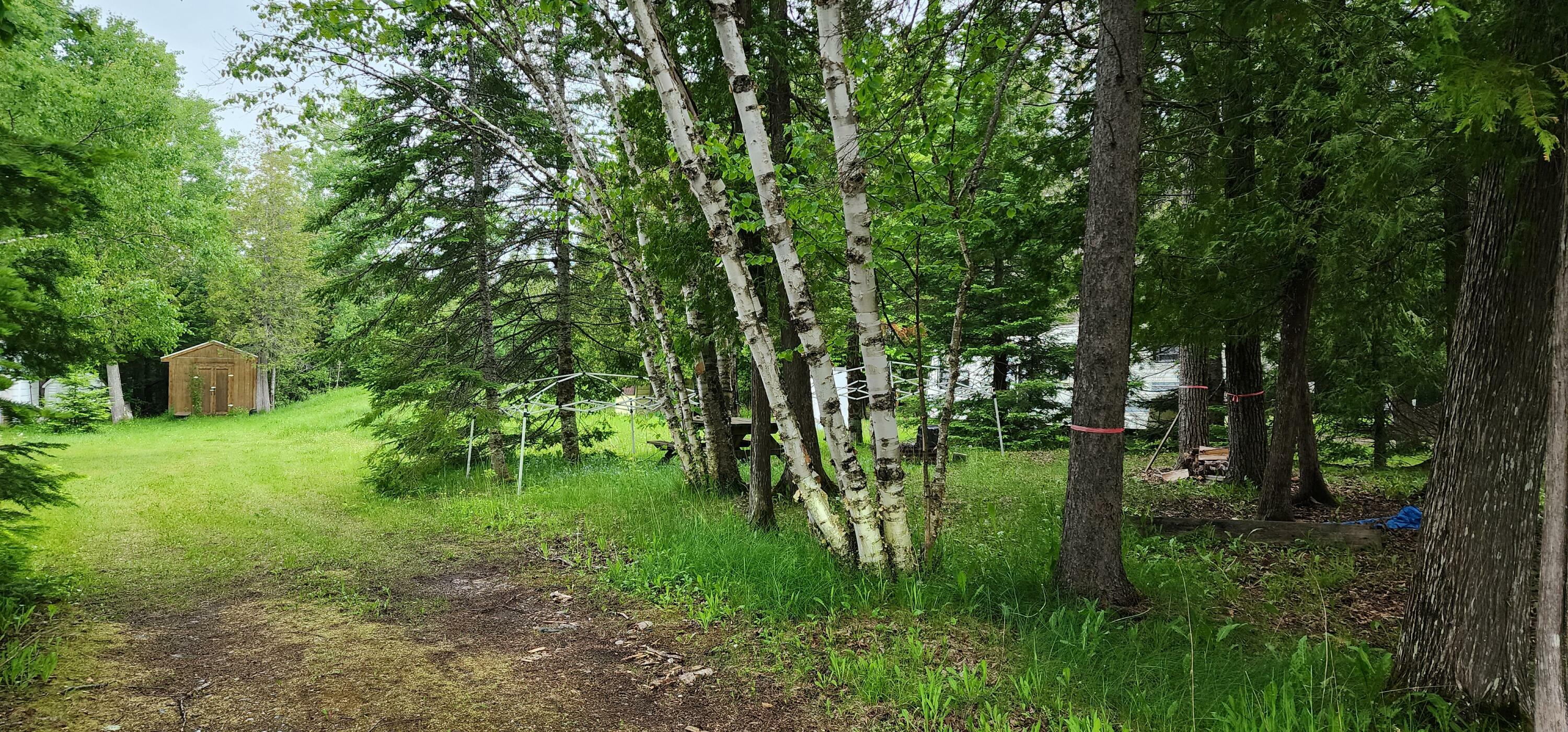 Property Photo: 26928 Point Aux Frenes Rd MI 49736