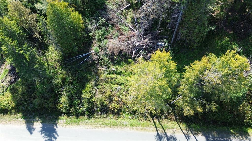 Property Photo:  Vacant Lot Cote Bleue Drive  NB E2A 4C9 