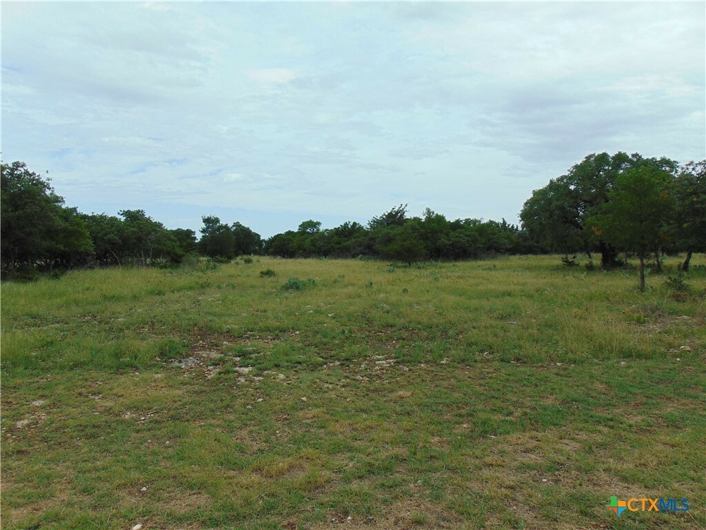 1661 Cottonwood Mesa Drive  Kempner TX 76539 photo