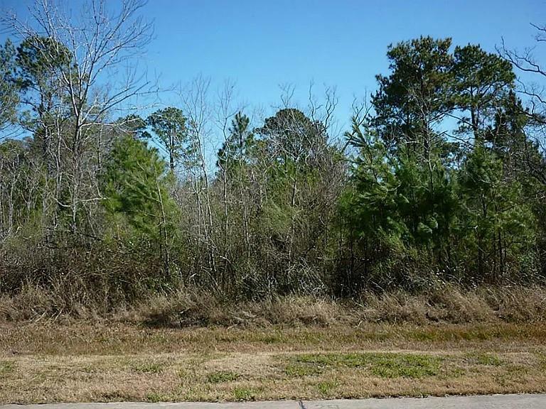 7311 Bayou Timbers Drive  Alvin TX 77511 photo