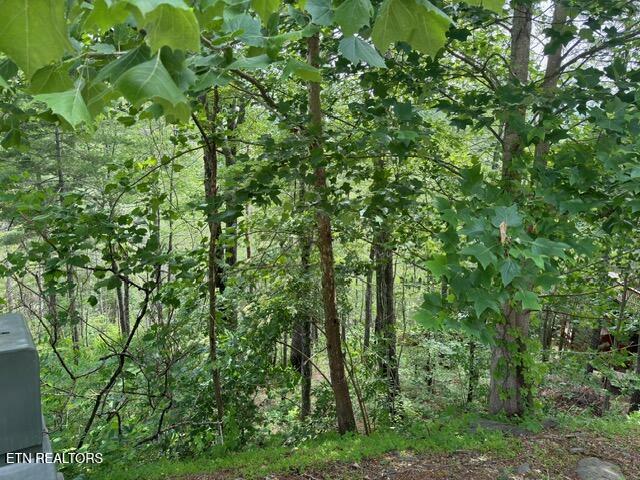 Property Photo:  Lot 18 Turkey Creek Way  TN 37862 