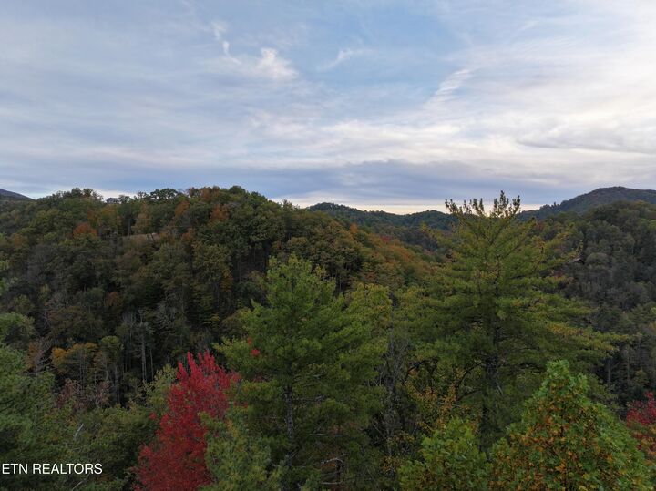 Property Photo:  Lot 18 Turkey Creek Way  TN 37862 