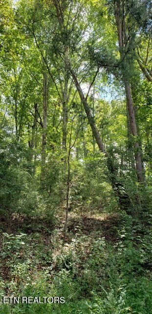 Property Photo:  4 Treeline Drive  TN 37327 