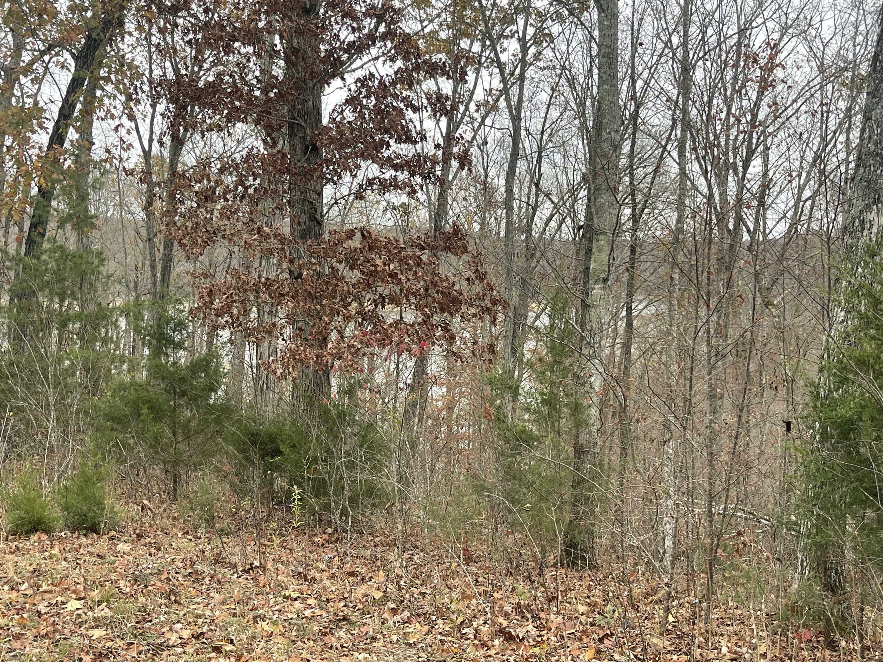 Property Photo: Lot 28 Cumberland Shores KY 42633