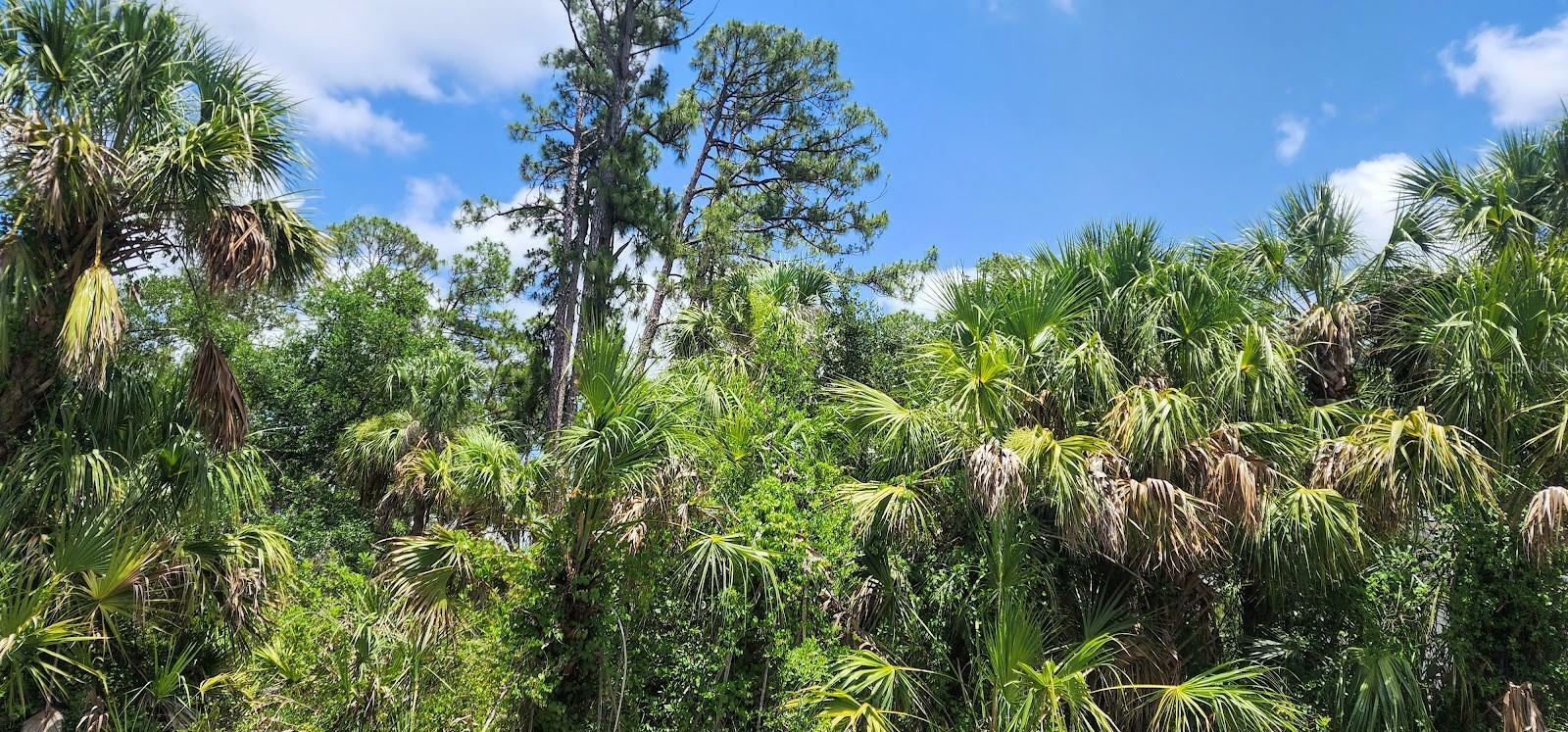 Property Photo: 436 Hutchins Street FL 33953