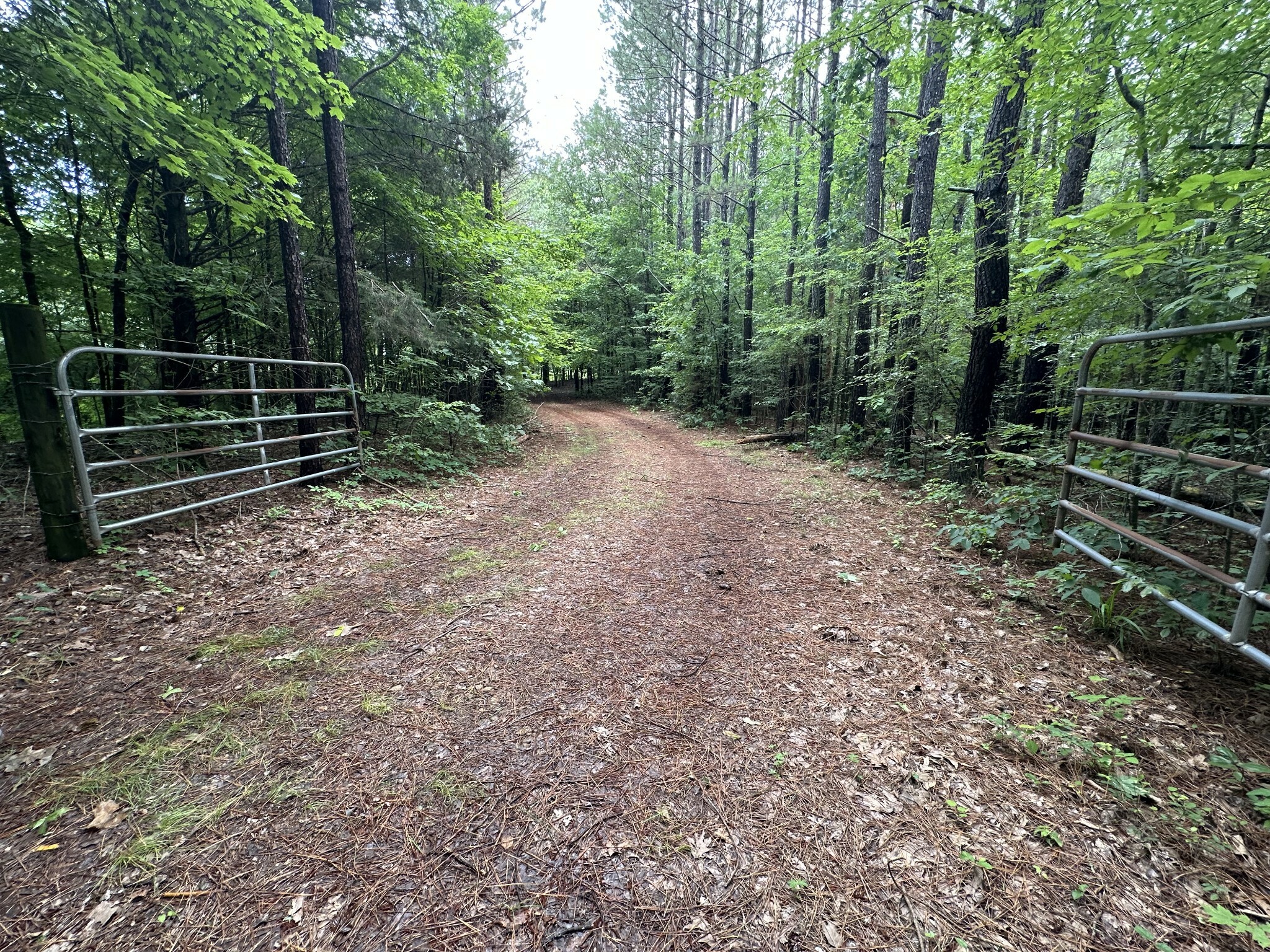 Property Photo: 0 Hardin Loop Rd TN 38486