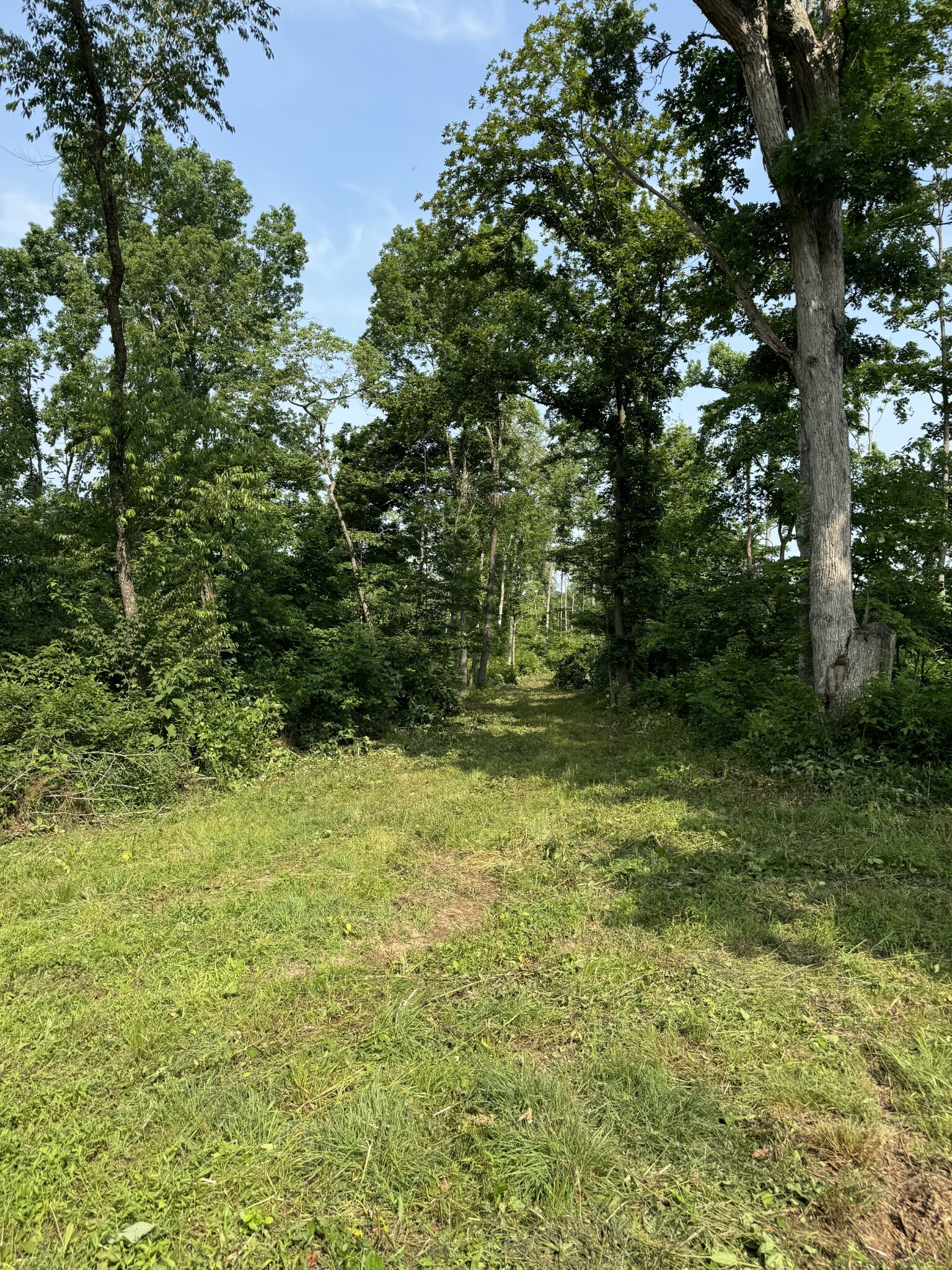 Property Photo:  25 Annie Hollow Road  TN 37186 