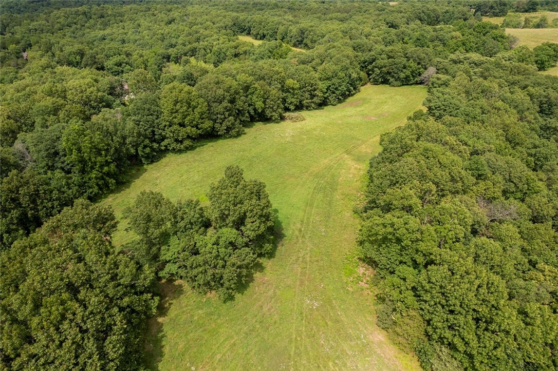 Tract A Cr 510  Berryville AR 72616 photo