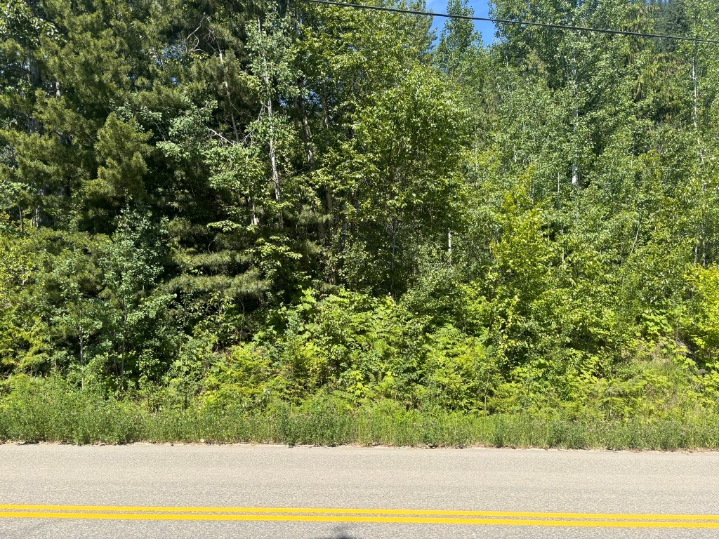 Property Photo:  Lot 68 Squilax-Anglemont Road  BC V0E 1M9 