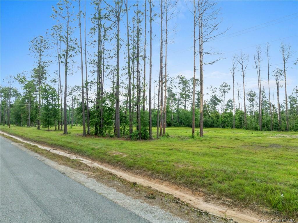 Property Photo: Duke Hollingsworth Rd Tract 1 LA 70657
