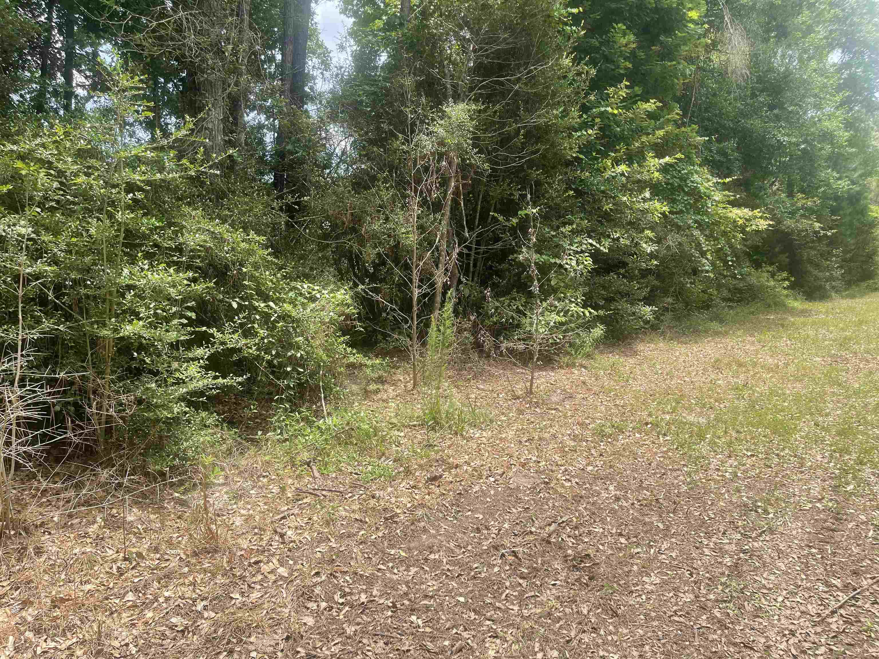 Property Photo: