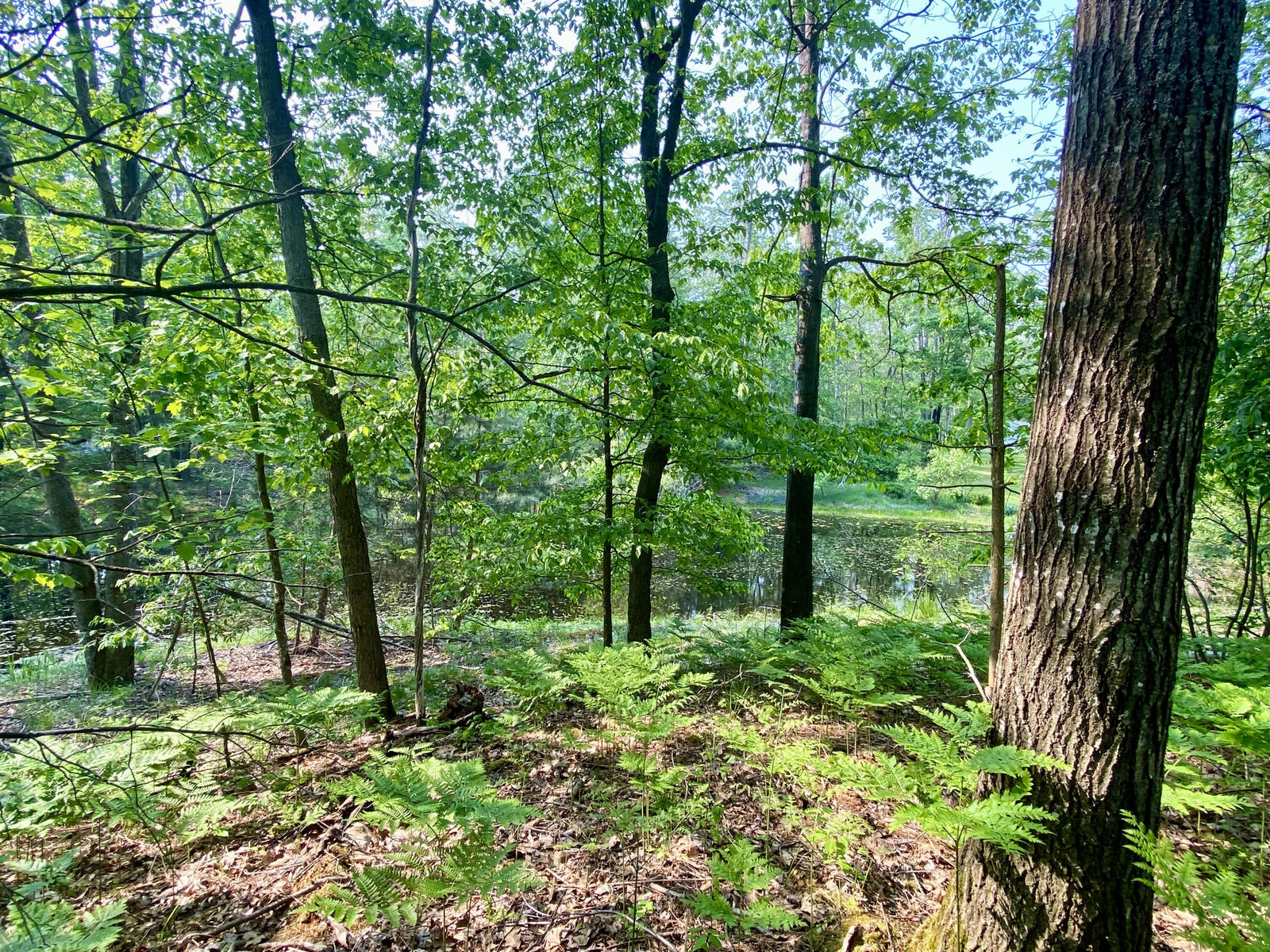 Property Photo: 1086, 1087 Michaywe Drive MI 49735
