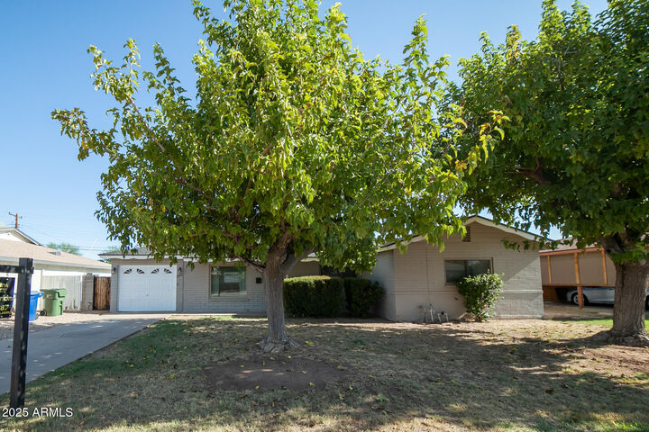 1412 W 7th Place  Tempe AZ 85281 photo