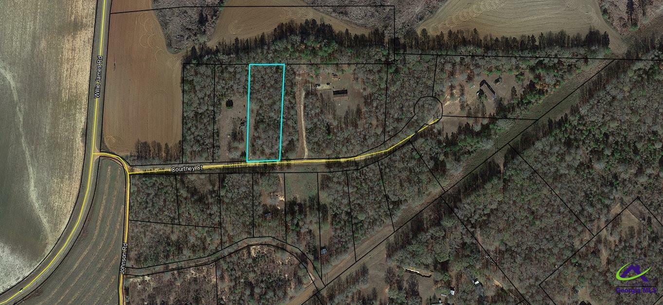 Property Photo: Lot 3 Courtney Court GA 31063
