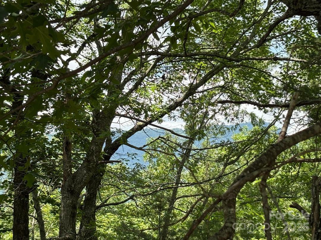 Lot 34 N Oakwood Drive  Marion NC 28752 photo