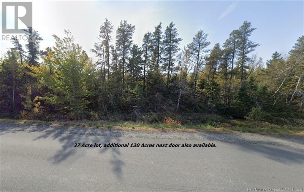 Property Photo:  Lot Rte 117 Hardwicke  NB E9A 1J9 
