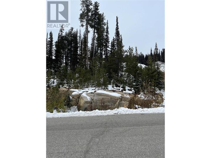 Property Photo:  Lot 9 Snowpines Way  BC V1P 1P3 