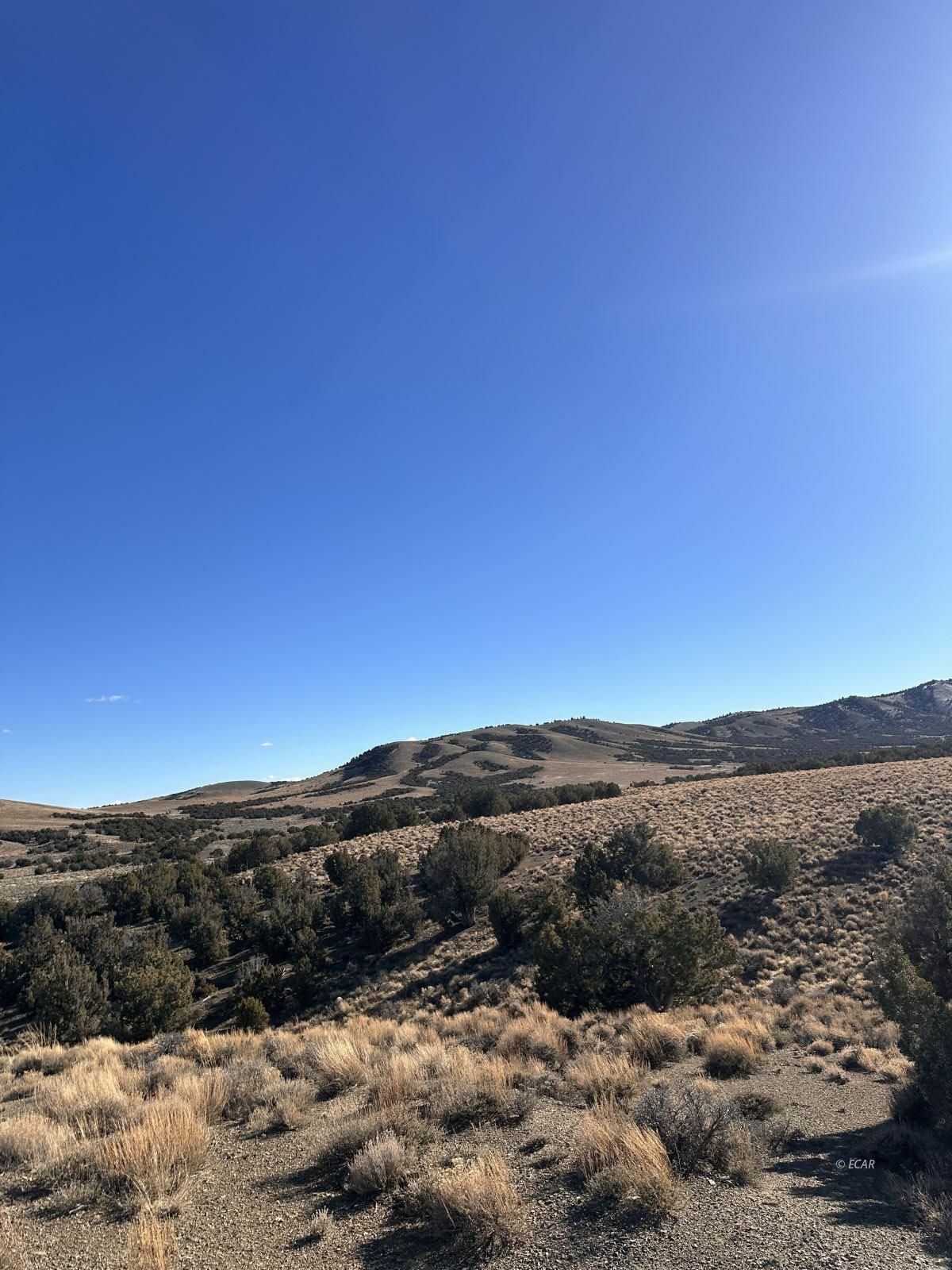 Property Photo:  009-37R-001  NV 89830 