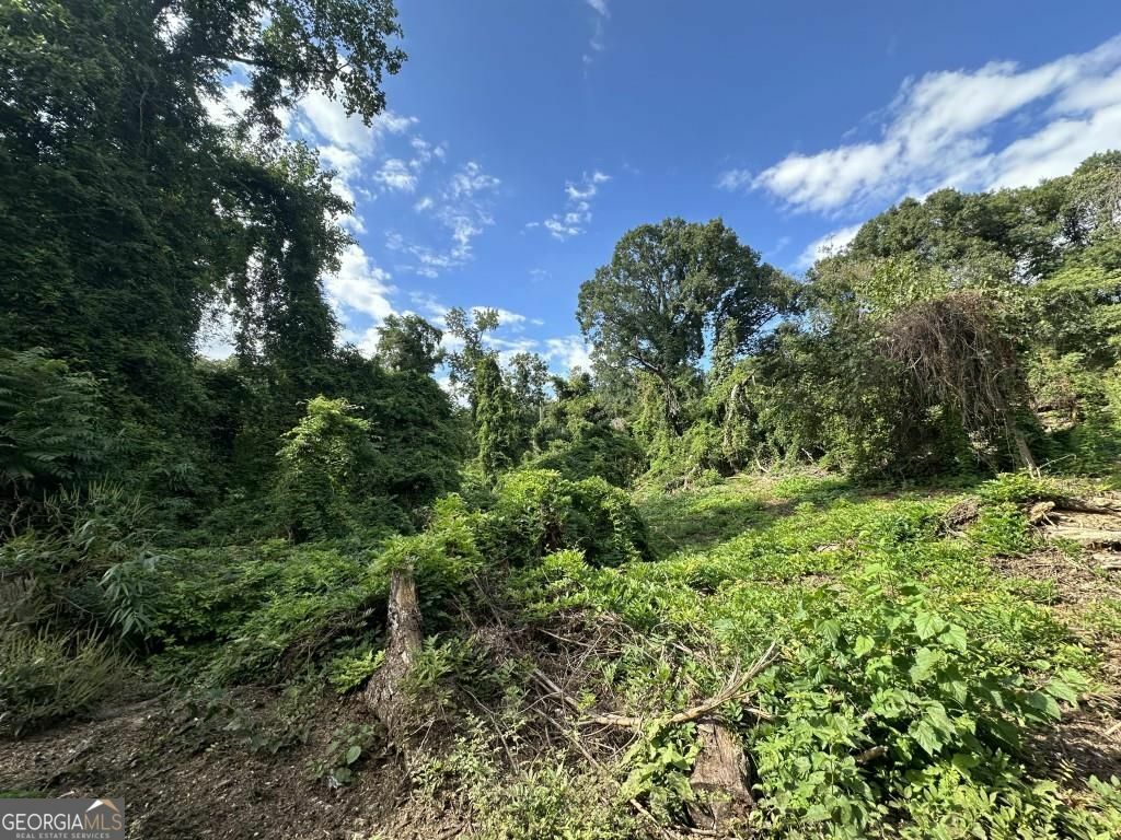 Property Photo: 0 S Lakewood Avenue GA 30315