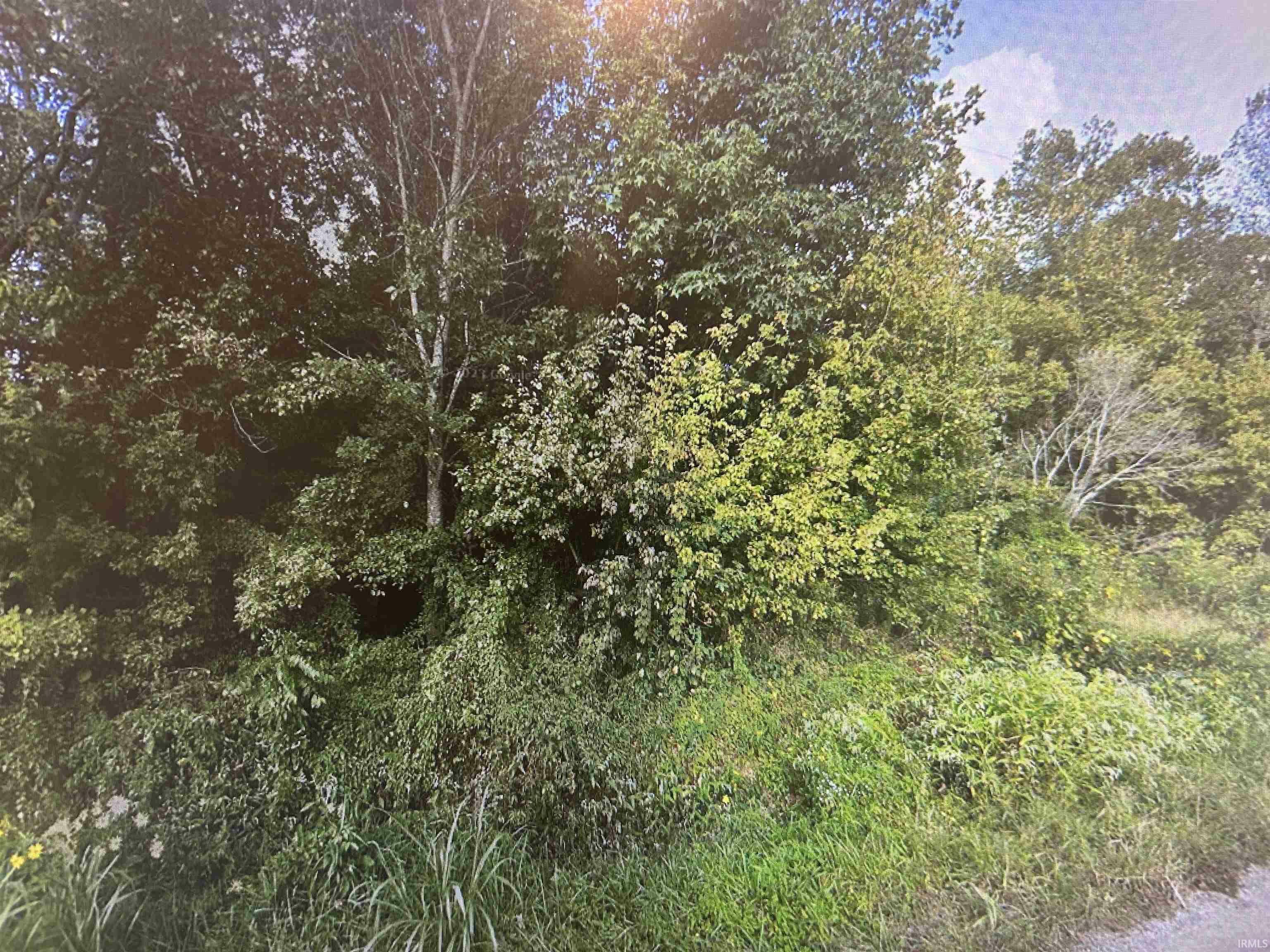 Property Photo:  0 Lincoln Trail Road  IN 47537 
