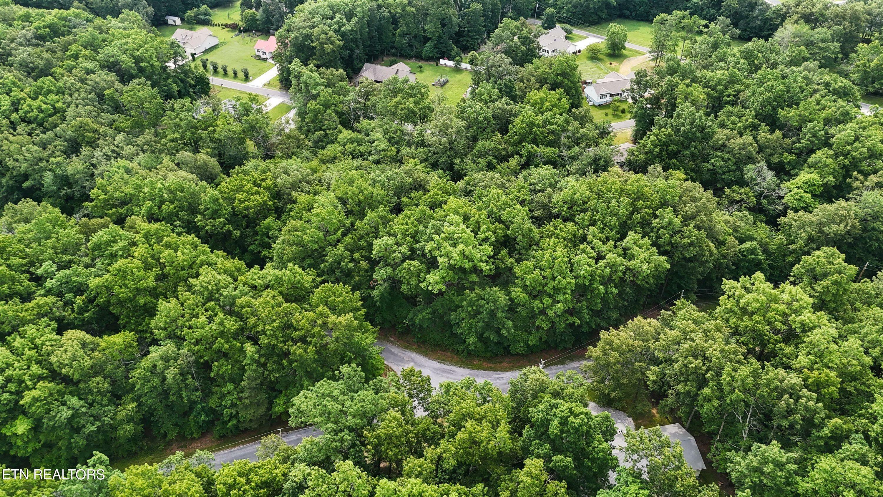 Property Photo: 4002/4004 Desoto Drive TN 38572