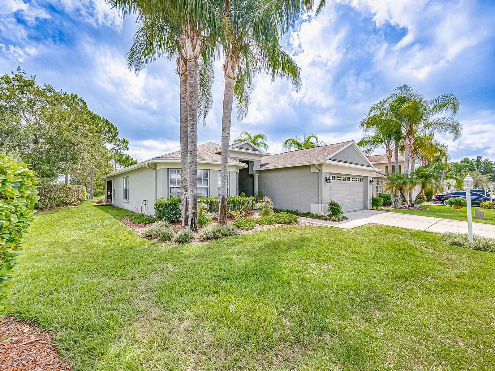 Property Photo:  1338 Winding Willow Drive  FL 34655 