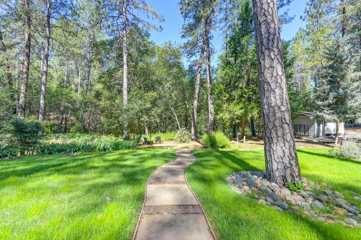 Property Photo: 1331 Oak View Lane CA 95722