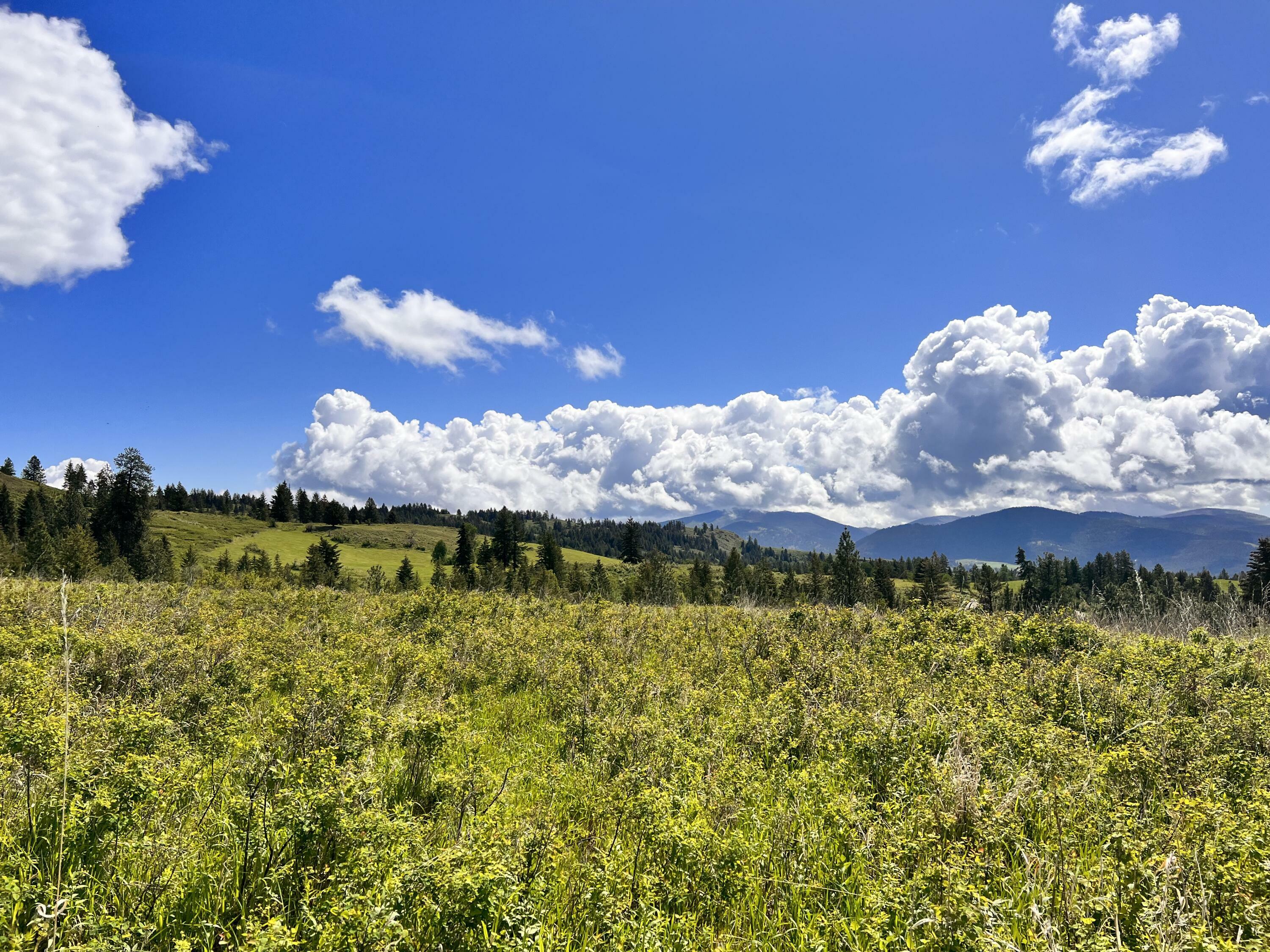 Property Photo: 27 Moonlight Dr WA 99118