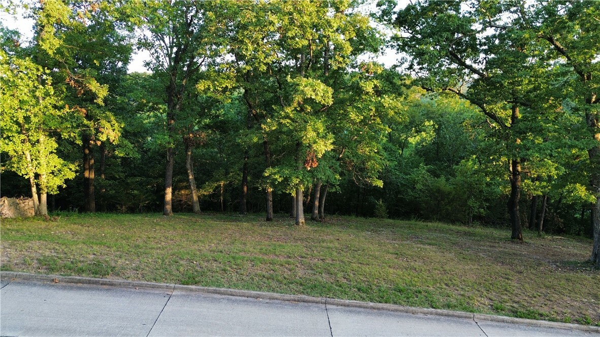 Lot 3 Serenity Point Lane  Rogers AR 72756 photo