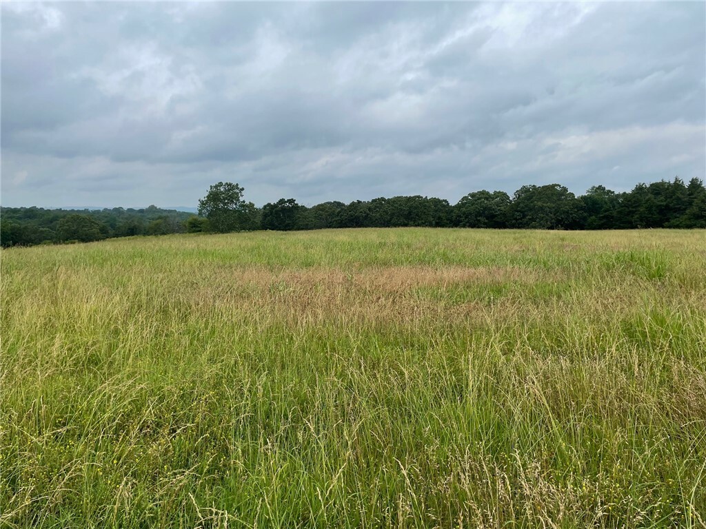 Property Photo:  Ar 21 Highway  AR 72616 