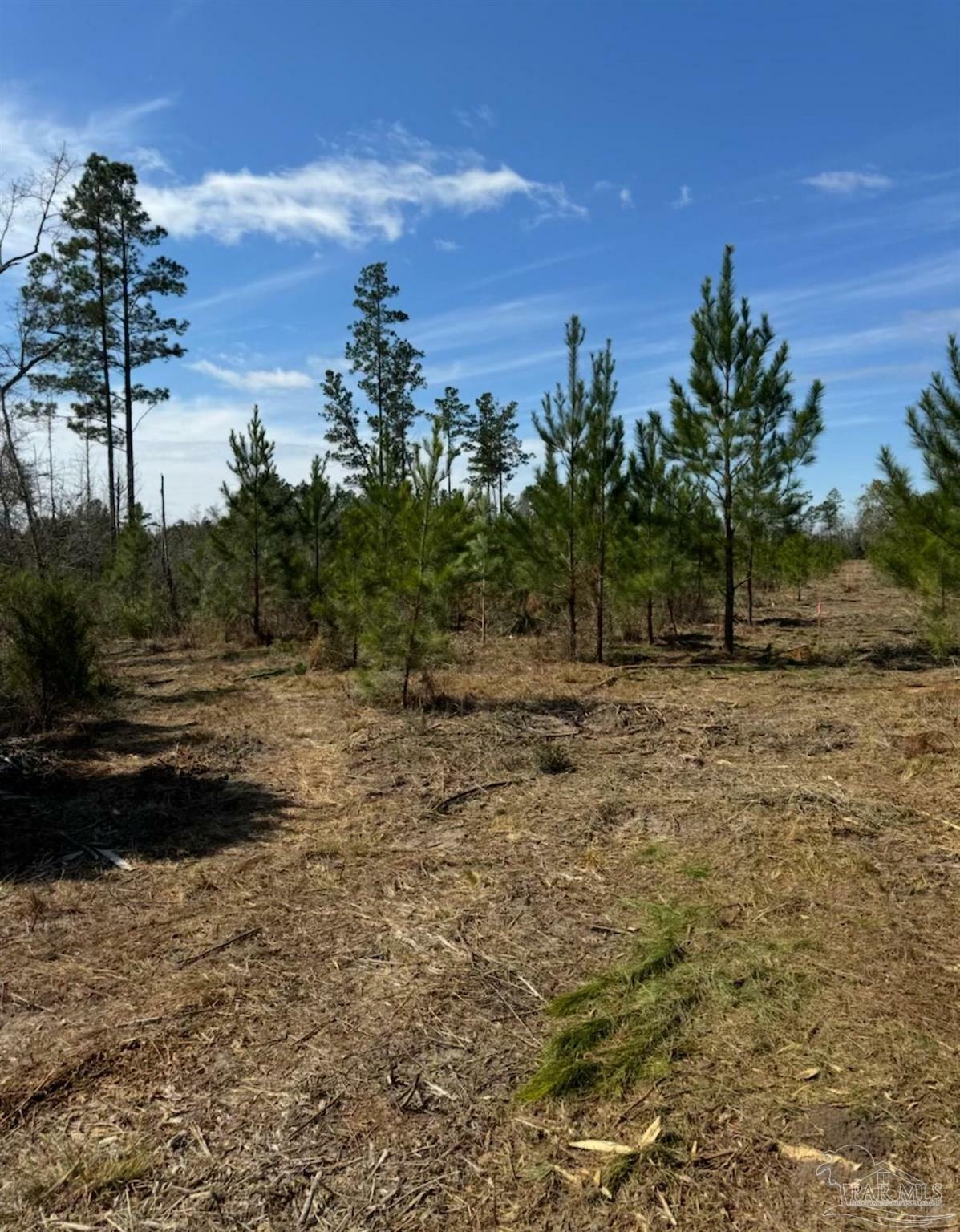 Property Photo: 0000 Bright Prospect Rd Lot 8 FL 32448