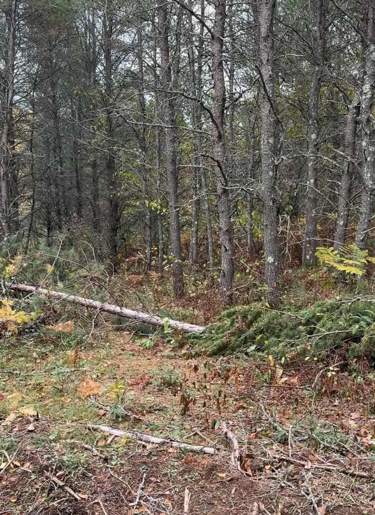 Property Photo: 14 Wood Road WI 54487