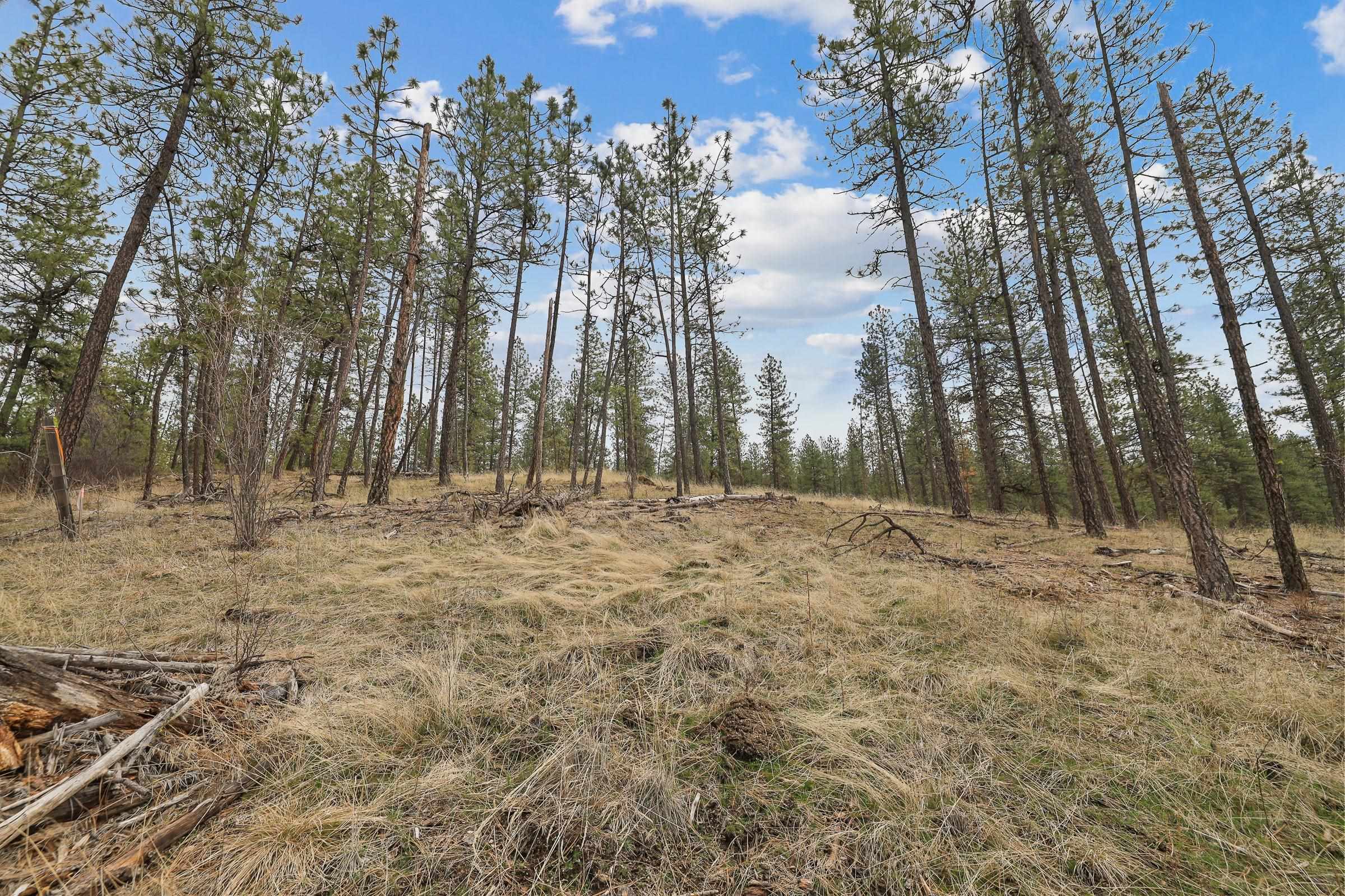 Property Photo: Nka Lower Weaver Way Lot 3 Of Lot 9 WA 99006