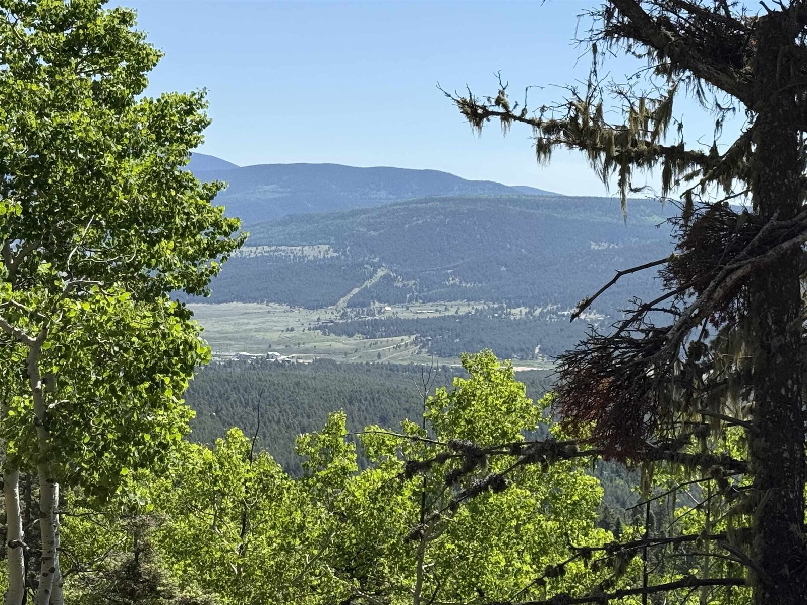 Property Photo: Lot 37 Brazos NM 87710