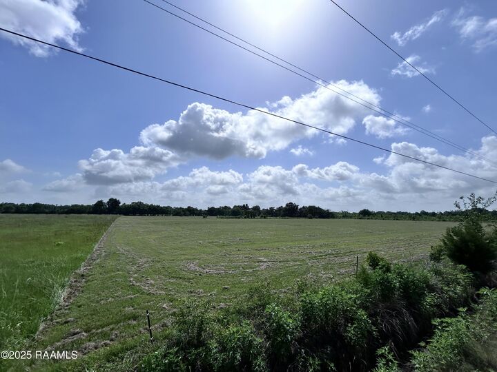 Property Photo:  Tbd Sonnier Road 3-A  LA 70525 