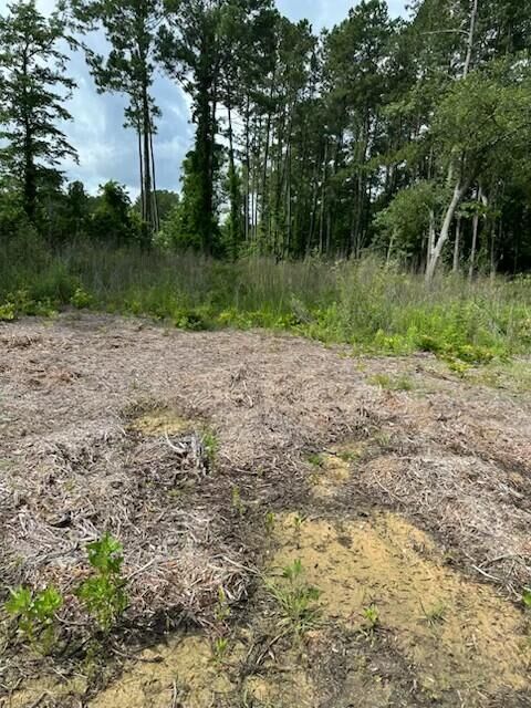 Property Photo:  0 Sinclair Road  SC 29483 