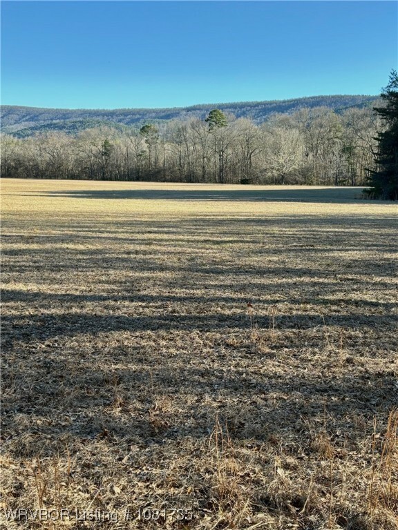 Property Photo: Tbd Lot 3 Rocky Road OK 74939