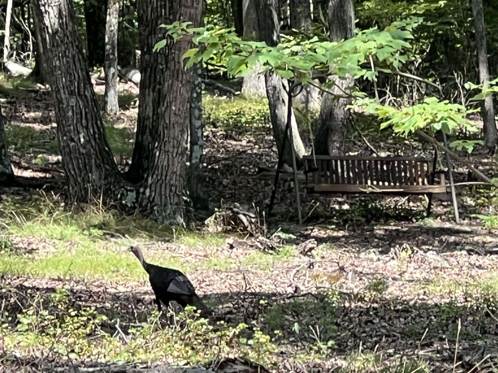 Property Photo: 594 Lookout Crest Lane GA 30750