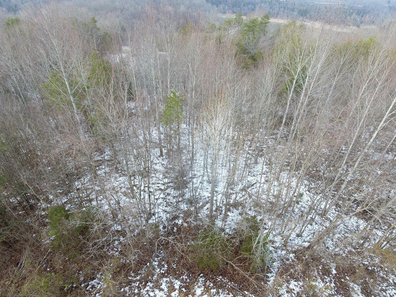 Property Photo: Lot 51 Shepperd KY 42544